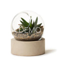 Orbit Terrarium – Large
